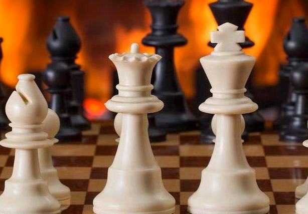 Curated Gaming Wisdom. Expert Insights Meet Passionate Player Community